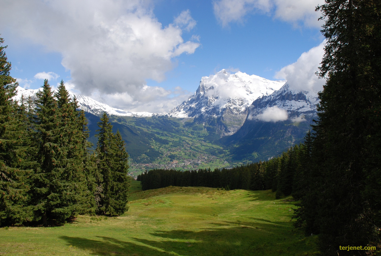 Grindelwald